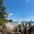 A rocky beach and driftwood along the shore of Lake Ontario Royalty Free Stock Photo