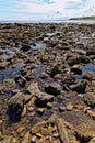 Rocky beach - Durham Heritage Coast Royalty Free Stock Photo