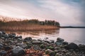 Rocky beach at the lake with common reeds in the water Royalty Free Stock Photo