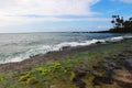 Rocky beach at low tide (Turtle Beach) Royalty Free Stock Photo