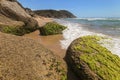 a rocky beach with moss next to a body of water in South West Rocks in Australia Royalty Free Stock Photo