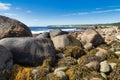 Rocky beach next to a body of water, along the coastal trail - Coastal Trail, Gros Morne, Newfoundland, Canada