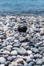 Rocky beach. Pebble-like egg. Royalty Free Stock Photo