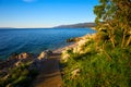 Rocky beach with pine trees on coast of Adriatic Sea, Istria, Croatia Royalty Free Stock Photo