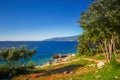 Rocky beach with pine trees on coast of Adriatic Sea, Istria, Croatia Royalty Free Stock Photo