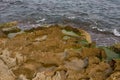 A rocky beach with seaweed and waves lapping on it Royalty Free Stock Photo