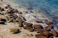 Rocky beach with splashing waves. Pacific ocean views