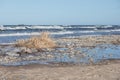 .rocky beach with tall grass, sea in the background and blue sky Royalty Free Stock Photo