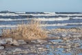 .rocky beach with tall grass, sea in the background and blue sky Royalty Free Stock Photo