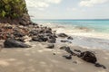 Rocky Beach on Tropical Island Mustique Royalty Free Stock Photo