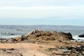 Rocky beach in Vina del Mar.