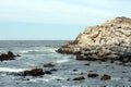 Rocky beach in Vina del Mar.