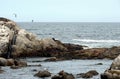 Rocky beach in Vina del Mar.