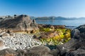 A Serene Rocky Beach with Majestic Mountains in the Background