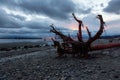 Rocky Beach and White Rock Pier on the West Coast of Pacific Ocean. Royalty Free Stock Photo