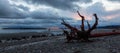 Rocky Beach and White Rock Pier on the West Coast of Pacific Ocean. Royalty Free Stock Photo