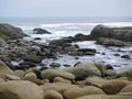 Rocky beach in Zapallar, Chile Royalty Free Stock Photo