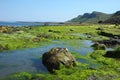 Staffin Beach on the Isle of Skye Royalty Free Stock Photo