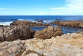 Rocky bluffs and tide pools at Asilomar State beach Royalty Free Stock Photo