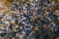 Rocky bottom of mountain stream, close-up. Colorful stones under clear water. Beautiful distortion background. Natural mosaic of Royalty Free Stock Photo