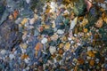 Rocky bottom of mountain stream, close-up. Colorful stones under clear water. Beautiful distortion background. Natural mosaic of Royalty Free Stock Photo