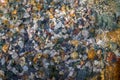 Rocky bottom of mountain stream, close-up. Colorful stones under clear water. Beautiful distortion background. Natural mosaic of Royalty Free Stock Photo