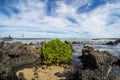 The rocky bottom of Playa del Caleton Blanco (Orzola)