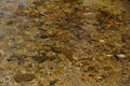 Rocky Bottom Under a Clear Stream