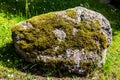 rocky boulder overgrown with moss