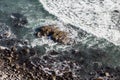 Rocky California Shoreline Royalty Free Stock Photo