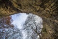 Rocky cave with trees overlooking to the sky. Gazakh Damcili Azerbaijan