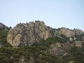 Rocky cliff, mountain trees and blue sky