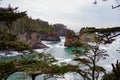 Rocky cliff veiw through the trees Royalty Free Stock Photo