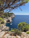 Rocky Cliffs on the Adriatic Coast in Croatia Royalty Free Stock Photo