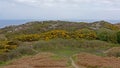 Cliffs with vegetation along the north sea coast of howth , ireland Royalty Free Stock Photo