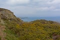 Cliffs with vegetation along the north sea coast of howth , ireland Royalty Free Stock Photo