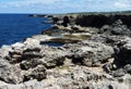 Rocky Cliffs in Barbados, West Indies Royalty Free Stock Photo