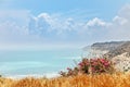 Rocky cliffs of Kurion beach with clouds and red flowers in the
