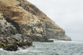 Cliffs near Pucusana, Peru