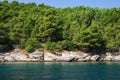 Rocky coast of the Adriatic Sea covered with pine forest. Croatia coastline Royalty Free Stock Photo