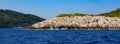 Rocky coast of the Adriatic Sea covered with pine forest. Croatia coastline Royalty Free Stock Photo