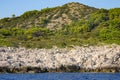 Rocky coast of the Adriatic Sea covered with pine forest. Croatia coastline Royalty Free Stock Photo