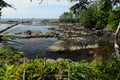 Rocky Coast Along Lighthouse Loop On Wild Pacific Trail