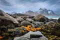 Rocky coast of fjord in Norway