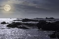 Rocky coast in a full moon night Royalty Free Stock Photo