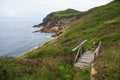 Rocky coast landscape from a green meadow with a recycled wooden bridge.