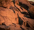 Rocky coast of nova scotia Royalty Free Stock Photo