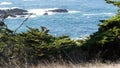 Rocky coast, ocean waves, cypress pine tree, 17-mile drive, Monterey, California Royalty Free Stock Photo