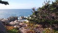 Rocky coast, ocean waves, cypress pine tree, 17-mile drive, Monterey, California Royalty Free Stock Photo