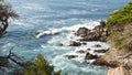 Rocky coast, ocean waves, cypress pine tree, 17-mile drive, Monterey, California Royalty Free Stock Photo